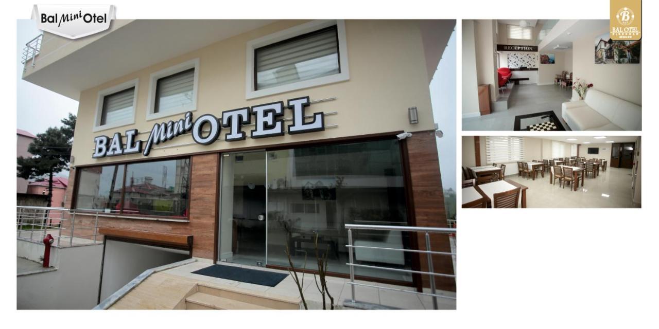 Bal Mini Hotel Tirebolu المظهر الخارجي الصورة